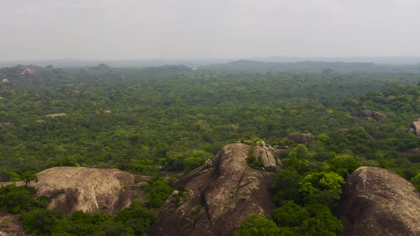 Tropical Landscape in Sri Lanka