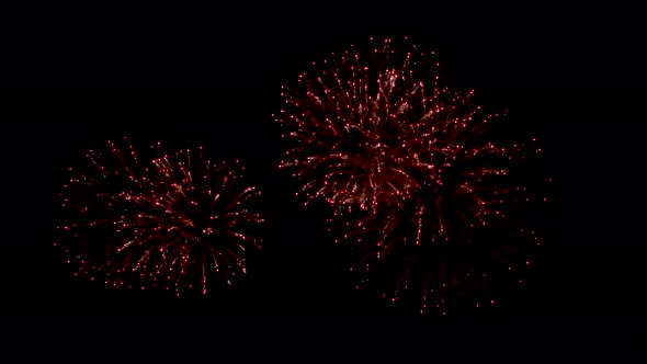 Many flashing colourful fireworks in event amazing with black background celebrate New Year.