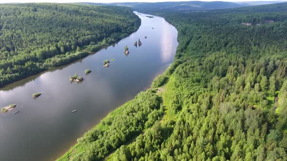 Flying Over the River and the Green Forest Illuminated By the Sun