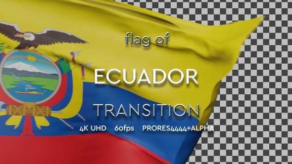 Flag of Ecuador Transition | UHD | 60fps