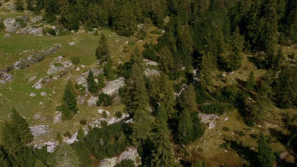 Aerial view of the beautiful lush forest in Gerola Alta, Lombardy, Italy.