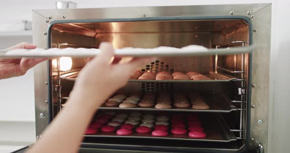 Chef Placing A Colorful Tray Full Of Macarons In A Oven Situated In A Bakery