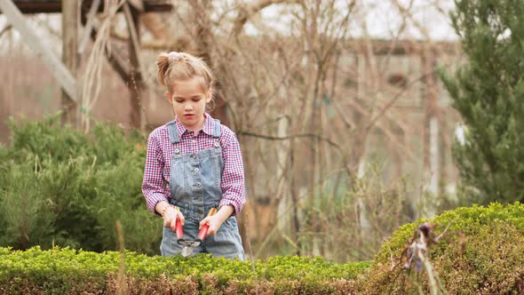 a Funny Little Girl Cuts Bushes in the Garden with Large Pruner