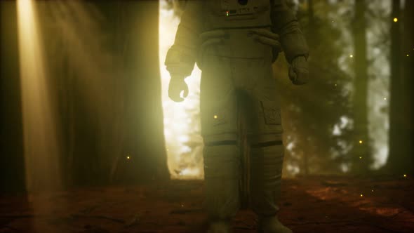 Lonely Astronaut in Dark Forest