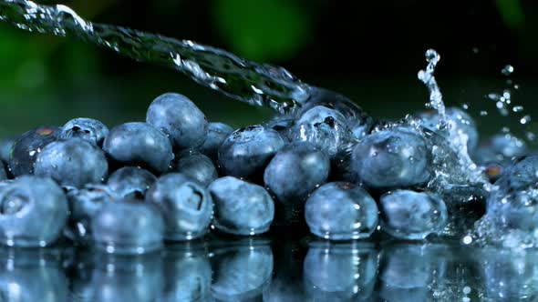 Super Slow Motion Shot of Water Splashing on Fresh Blueberries at 1000Fps