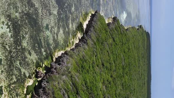 Zanzibar Tanzania  Ocean Shore Covered with Green Thickets Vertical Video Aerial View