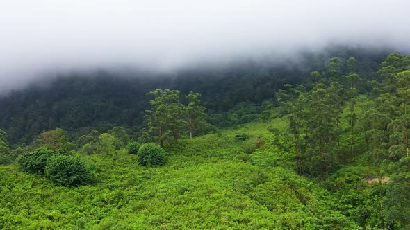 Mountain Slopes with Tropical Vegetation