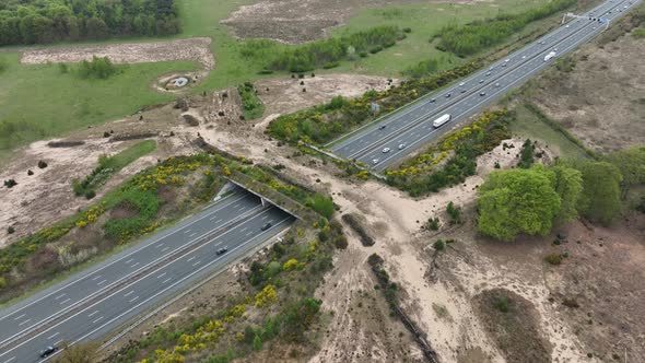 Ecoduct Ecopassage or Animal Bridge Crossing Over the A12 Highway in the Netherlands