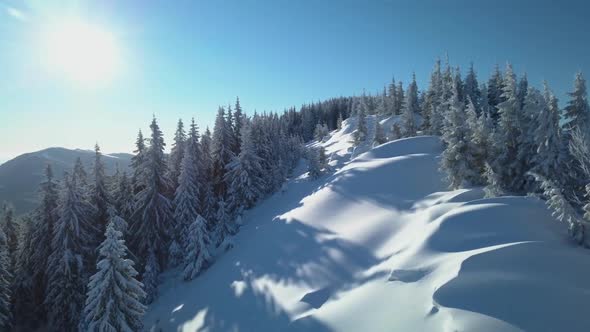 Flying Over the Forest and Mountains in Winter