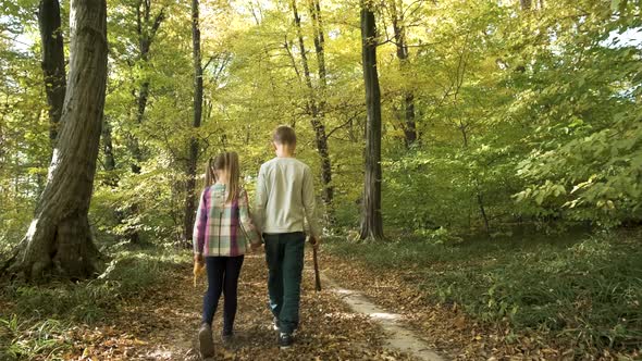 Two Children Walking Holding Hands in Autumn Forest with Bright Orange and Yellow Leaves