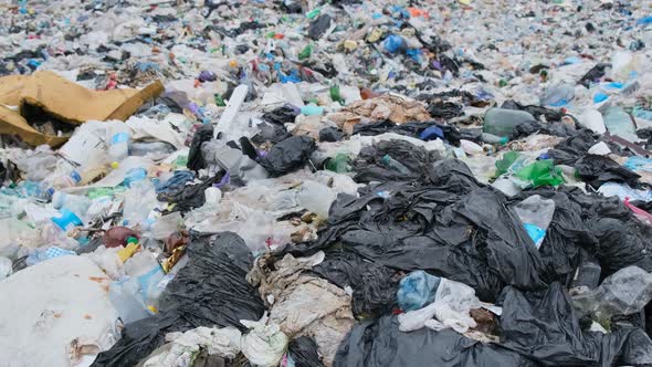 Garbage Platform with Plastic Waste