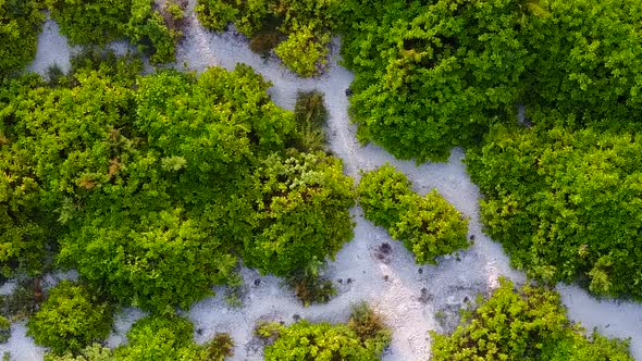 Aerial drone landscape of sea view beach wildlife by blue lagoon and sand background