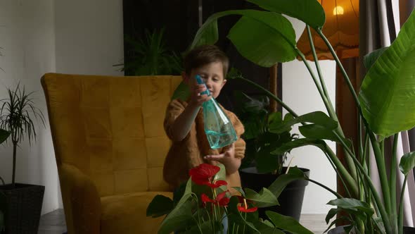 Little boy spraying plants at home