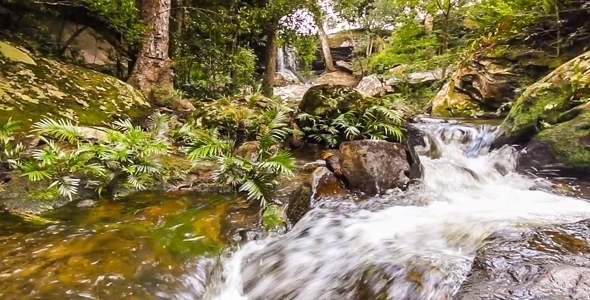 Waterfall in Tropical Forest