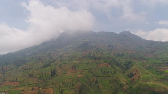 Tropical Landscape with Farmlands in Mountains