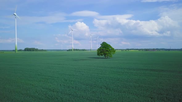 Aerial view of wind turbines generating renewable energy in the wind farm, sunny summer day, lush gr