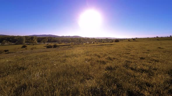  UHD Mountain Meadow Timelapse at the Summer. Clouds, Trees, Green Grass and Sun Rays Movement.