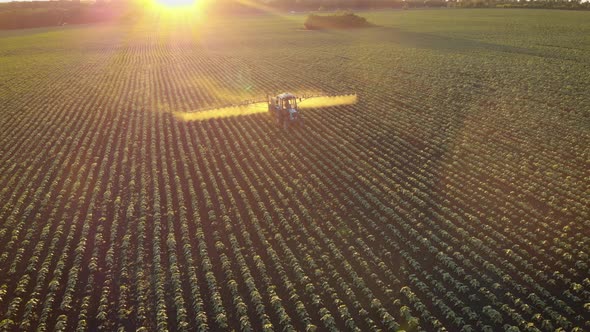 Aerial View of Farming Tractor Spraying on Field with Sprayer, Herbicides and Pesticides at Sunset