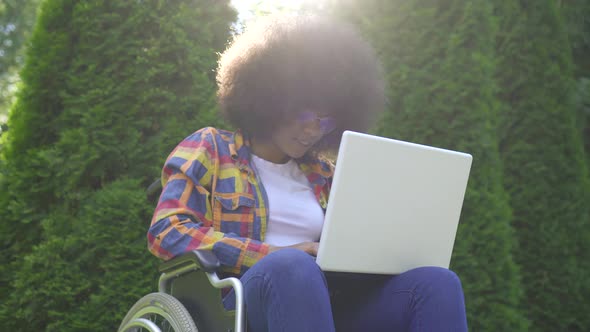 Smiler African American Woman with an Afro Hairstyle Disabled in a Wheelchair Uses a Laptop Sunflare
