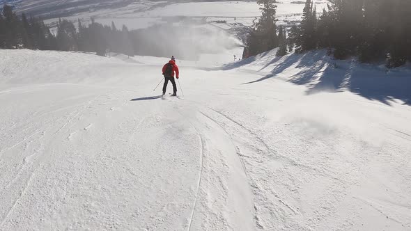 Group of Fun People Skiing Downhill on Beautiful Snowy Mountain in Forest Landscape. Winter Sports