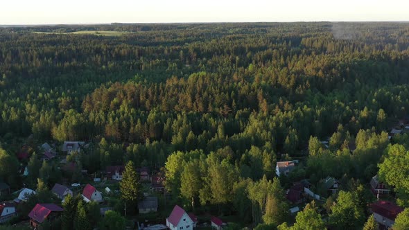 Village with Summer Houses in Forest