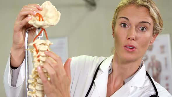 Physiotherapist looking at  spine model