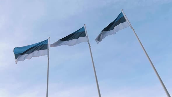 Three Flags of Estonia fluttering on wind against the blue sky in slow motion