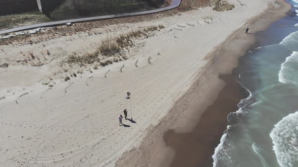 Aerial View People Walking Dogs on the Shores of Lake Michigan in Illinois. People Walking Dogs on a