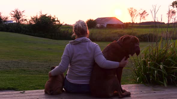 dogs and lady watch country sunset together 4k