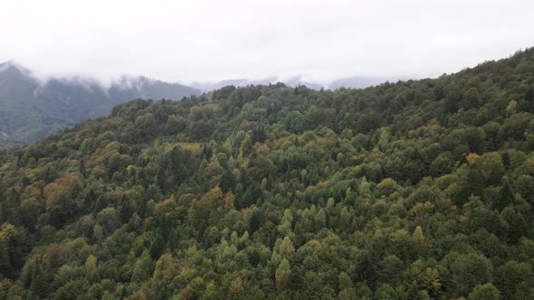 Aerial View of the Carpathian Mountains in Autumn. Ukraine