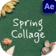 Spring Collage - VideoHive Item for Sale