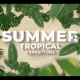 Summer Travel Tropical Palm Leaf Transitions - VideoHive Item for Sale