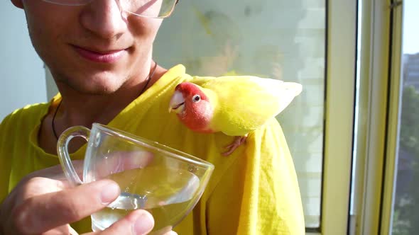 The guy gives water to the parrot from a cup.