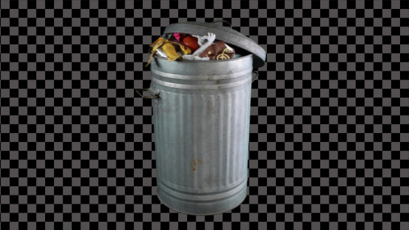 Bin