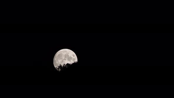 Timelapse Video of a Full Moon climbing a mountain ridge revealing the trees silhouette.