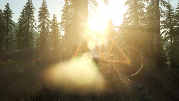 Bicycle in Mountain Forest