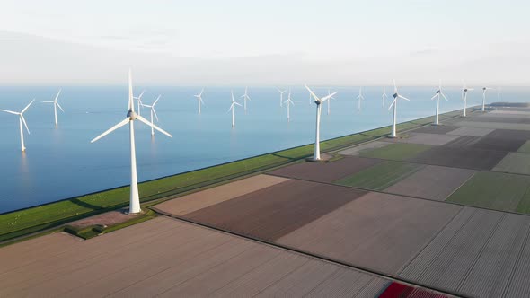 Dutch Tulips With Wind Turbines At IJsselmeer In Flevoland, Netherlands. - aerial