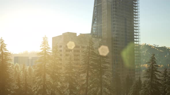 Park Forest and Skyscrapes at Sunset alt