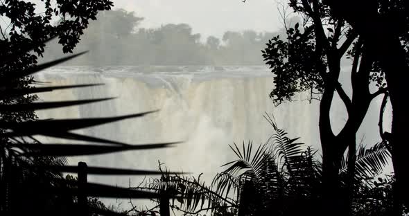 Beautiful jungle plants in the shadows and amazing massive waterfall Victoria