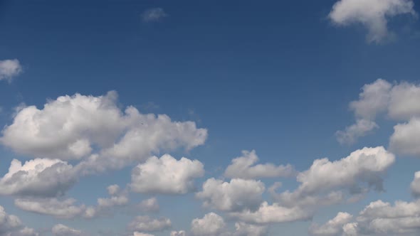 Red Purple Orange Blue Pink Sunset Sky Cloud Red Purple Cloudscape Time Lapse Background Dark Red