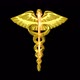 Caduceus Symbol Of Medicine - VideoHive Item for Sale