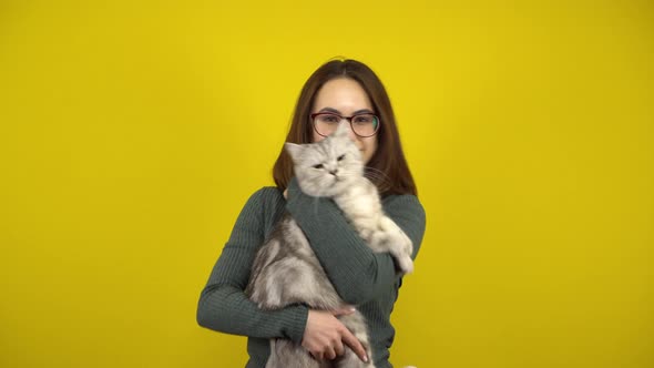 Young Woman with a Cat in Her Arms Is Dancing on a Yellow Background. Woman with Glasses and a Green