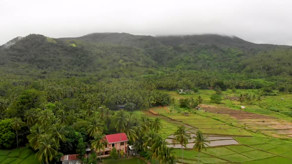 aerial drone mountain background over rice fields in Asia 4k