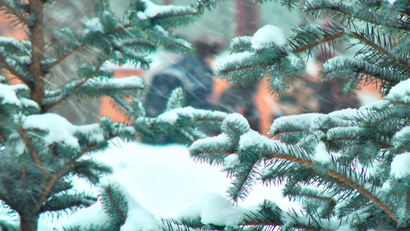 Christmas Tree in Snow (2 items)