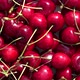Natural Ripe Red Cherry Berry. Rotating Turntable - VideoHive Item for Sale