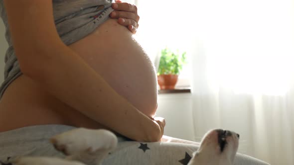 close-up belly of a pregnant woman by the window