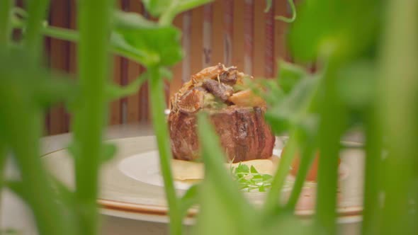 Zoom Out Slide Video of Filet Mignon Steak Through Microgreen Sprouts