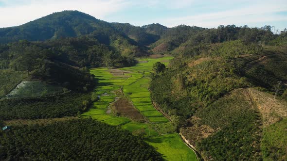 Rice Fields In The Valley With Mountain Landscape In Ta Nang, Vietnam. - aerial