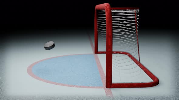 Hockey goal. The puck flies into the goal on the ice rink.