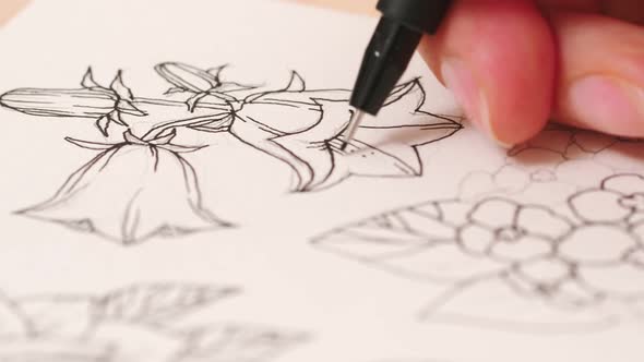 Female Artist Draws a Composition of Flowers